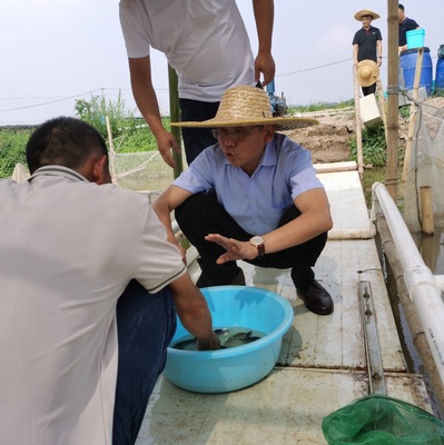 九江市农业科学院赴广东考察学习饲料鳜鱼养殖及工厂化循环水养殖技术
